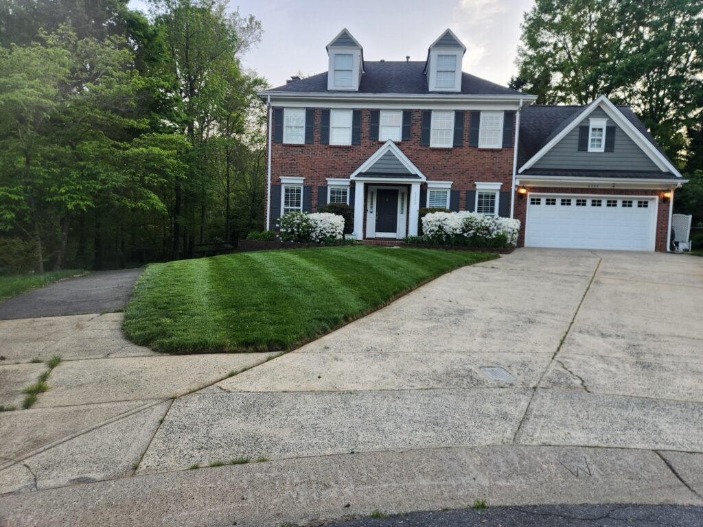 Charlotte lawn maintenance services