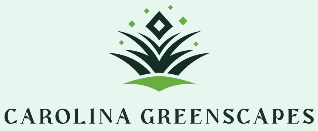 Charlotte lawn care services