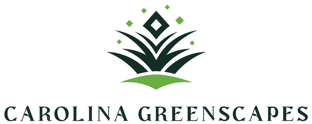 Charlotte lawn maintenance services